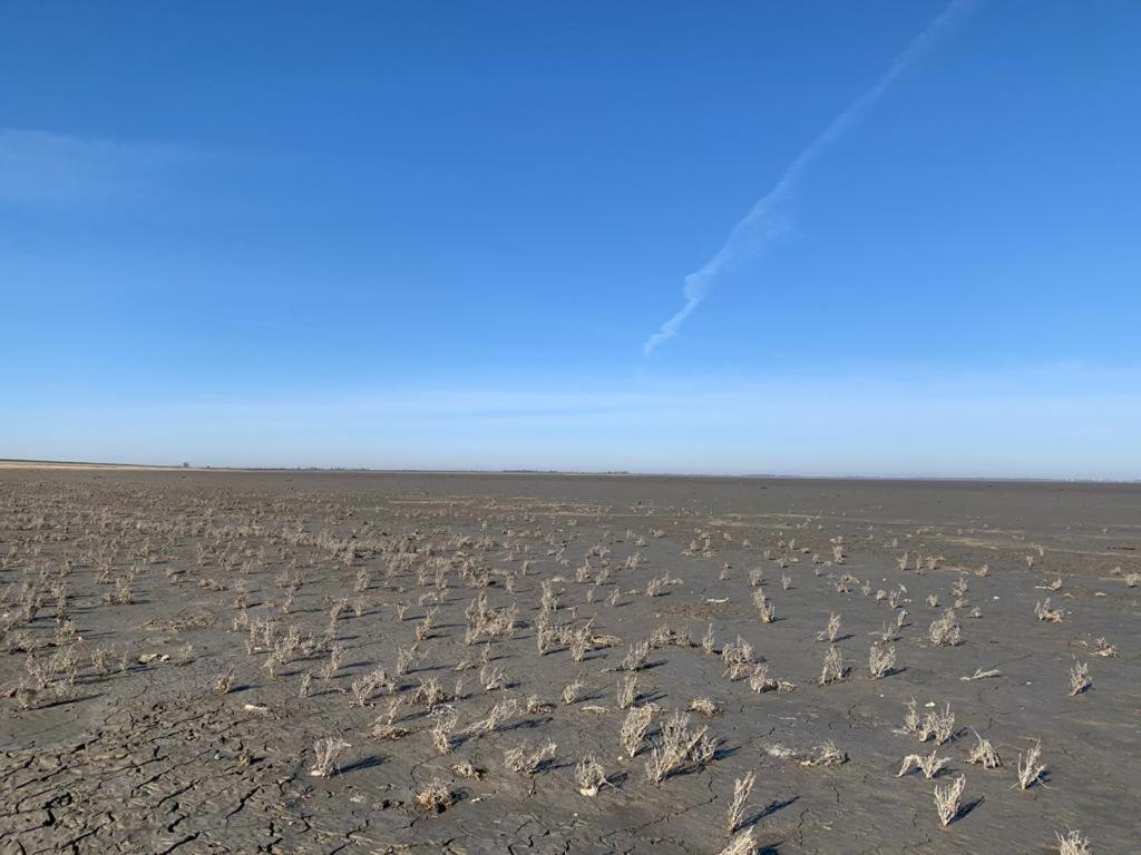 Ferienwohnung Chalet Seemöwe direkt am Wattenmeer aan de waddenzee Nordsee 600 Meter zum Badestrand, Angeln Westerland Exterior foto